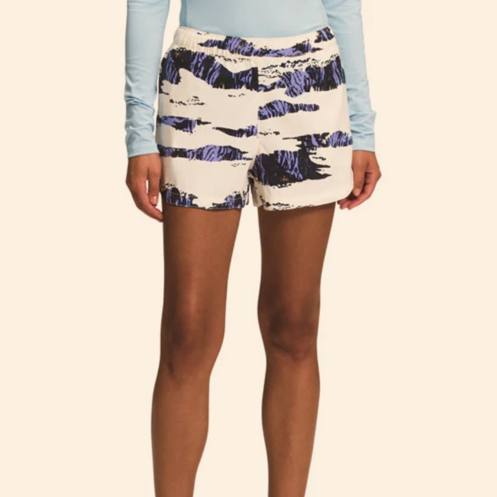 The North Face Class V Shorts